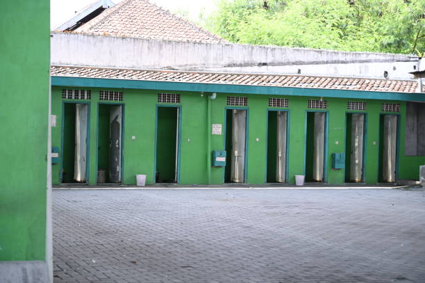 Best Local porta potty services  in Phoenix Lake, CA